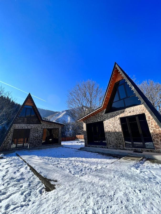 Cottage Orcs Borjomi Dış mekan fotoğraf