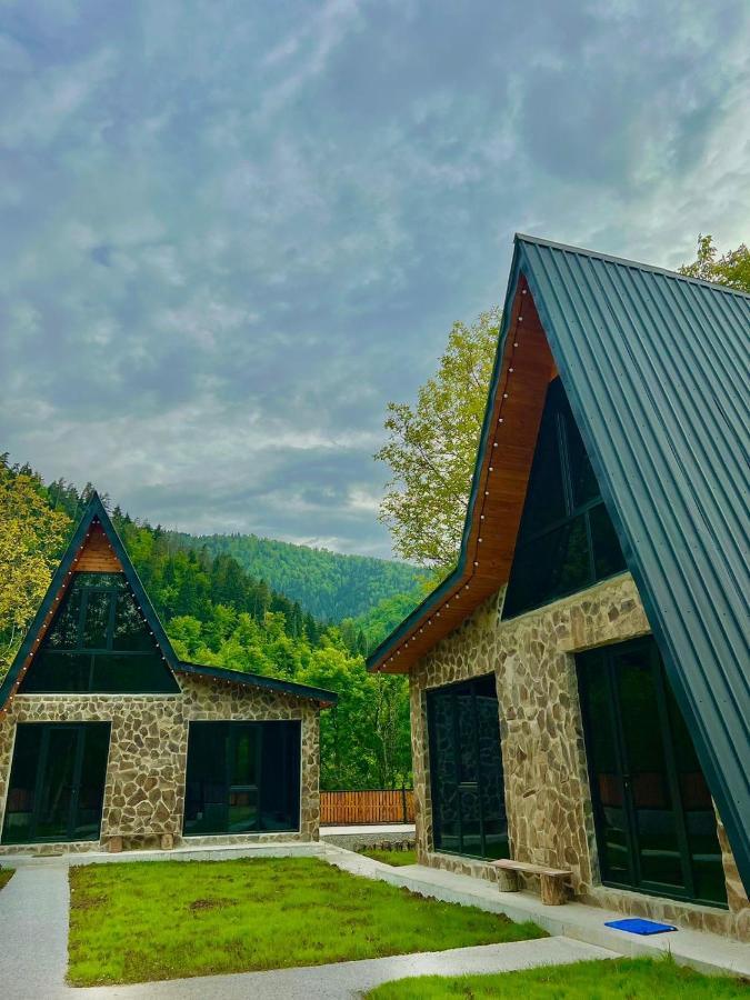 Cottage Orcs Borjomi Dış mekan fotoğraf