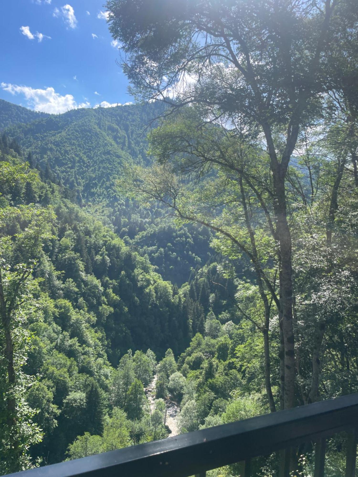 Cottage Orcs Borjomi Dış mekan fotoğraf